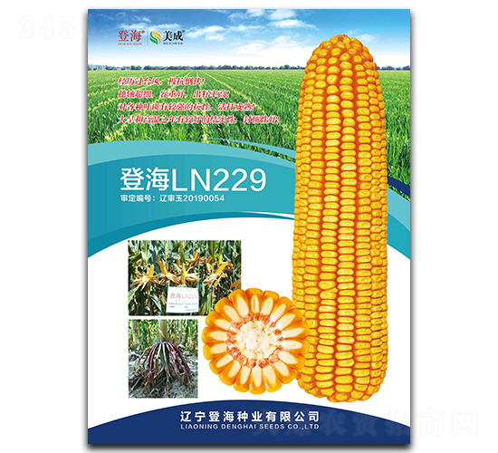 �Ǻ�LN229-��������-�Ǻ���ҵ