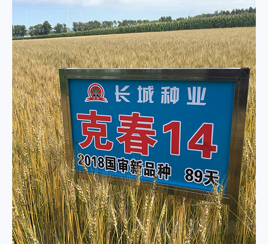 �˴�14-С������-������ҵ