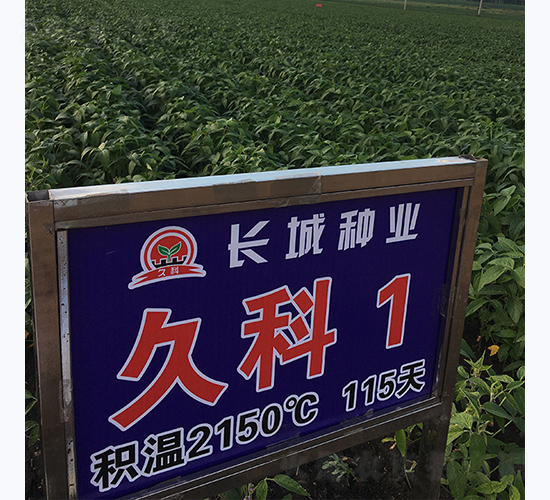 �ÿ�1��-������-������ҵ