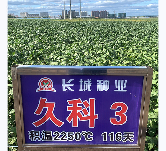 �ÿ�3��-������-������ҵ