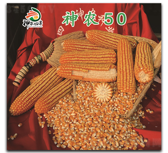 ��ũ50-��������-��ũ��ҵ