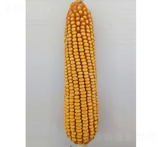 ͨ��1101-��������-�����ҵ