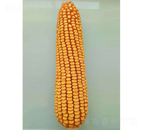 �뵥18-��������-�����ҵ