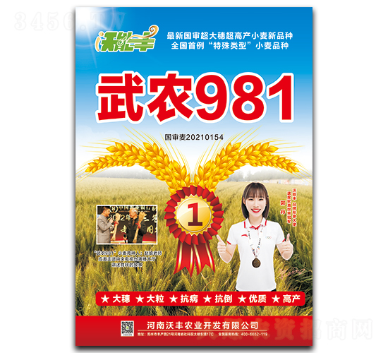 ��ũ981-С������-���ܷ�