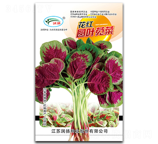 ����ԲҶ�Ȳ�-�Ȳ�����-������ҵ