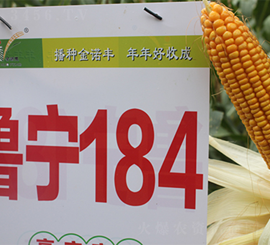 ³��184-��������-������ҵ