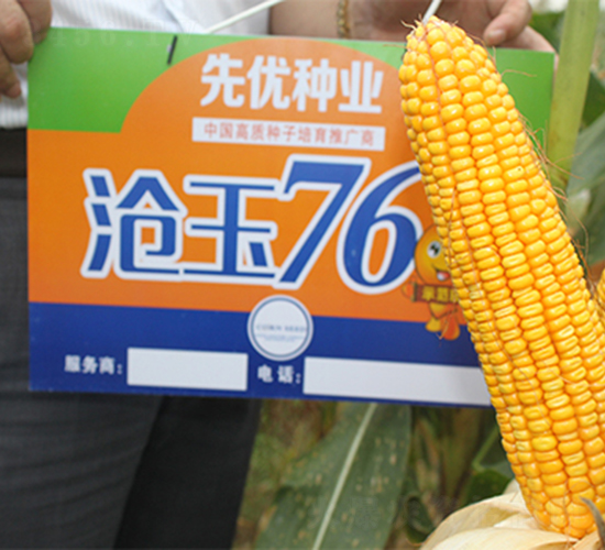 ����76-��������-������ҵ