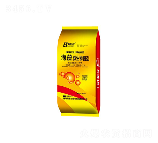 ����΢�������-��ֶ�