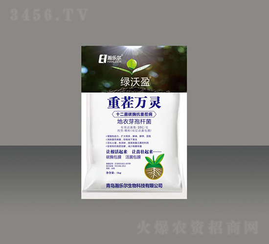 �ز����顤����ѿ�߸˾�-����ӯ-��ֶ�