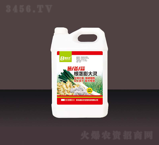 �н�����������-��ֶ�