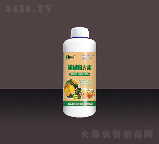 ���������-��ֶ�