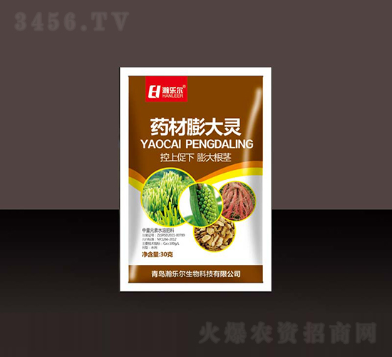 ҩ�������-��ֶ�