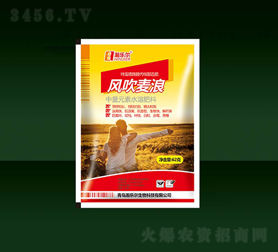 �紵����-��ֶ�