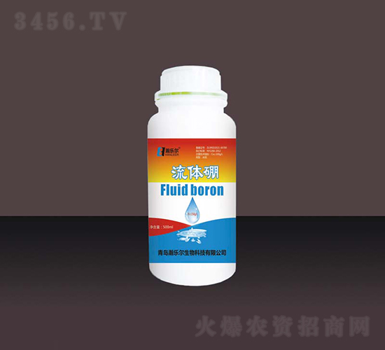 ������-��ֶ�