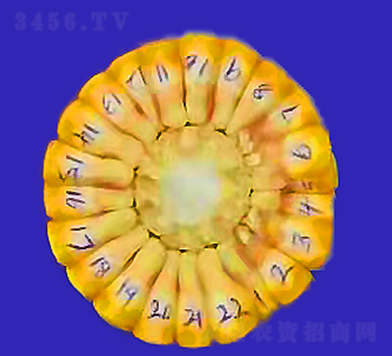 ���6-��������-��ũ��ҵ