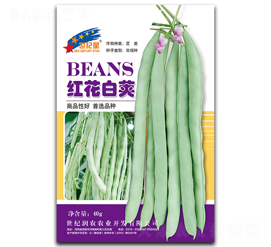�컨�׼ԣ�40g��-�ļ�������-��һ��ҵ