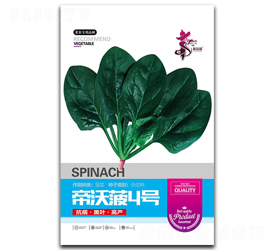 ���ֲ�4��-��������-��һ��ҵ