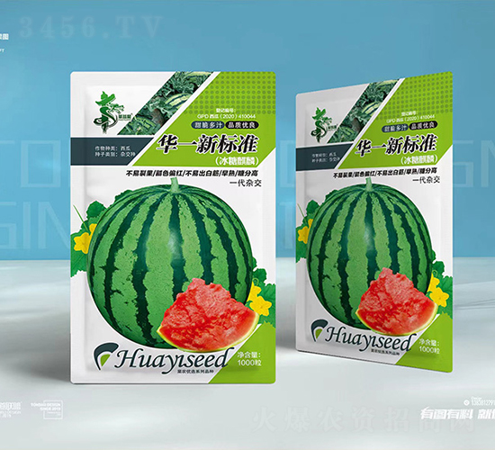 ��һ�±�׼-��������-��һ��ҵ