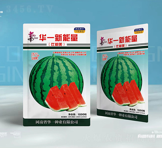 ��һ������-��������-��һ��ҵ
