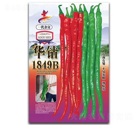 ����1849B-��������-��һ��ҵ