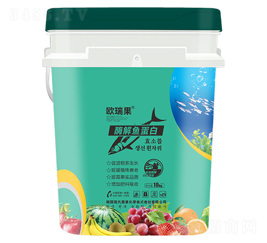 ø���㵰��-ŷ���-ʥ�ɶ�