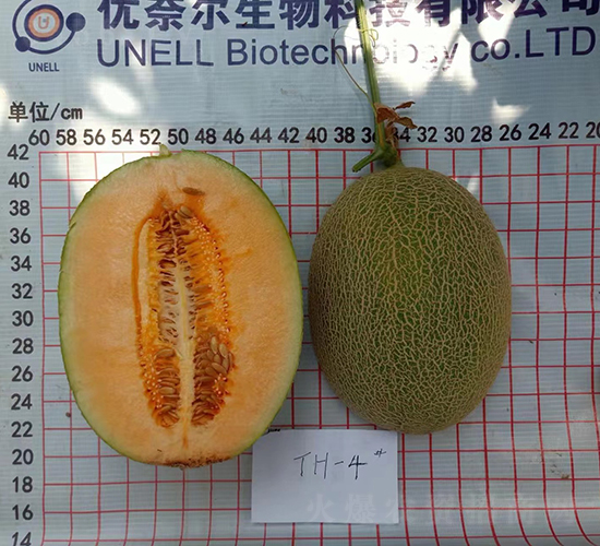 ��Ƥ����۸���-�������-���ζ�����
