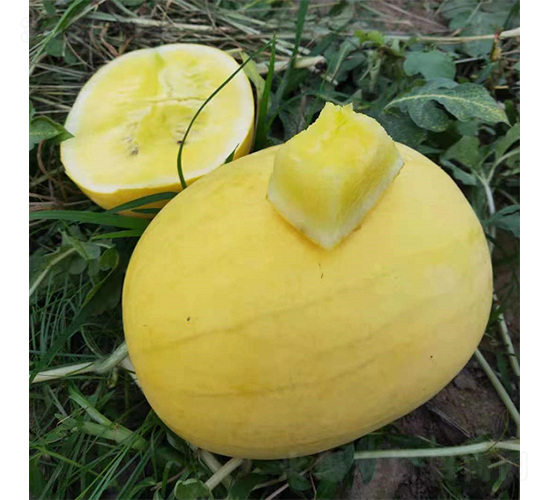 ��Ʒ���Ͻ��-��������-���ζ�����