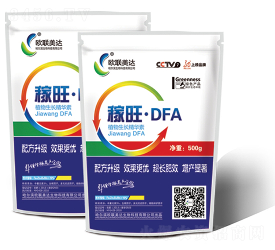 ������DFA-ŷ������