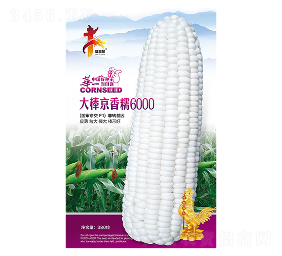 �������Ŵ6000-��������-��һ��ҵ
