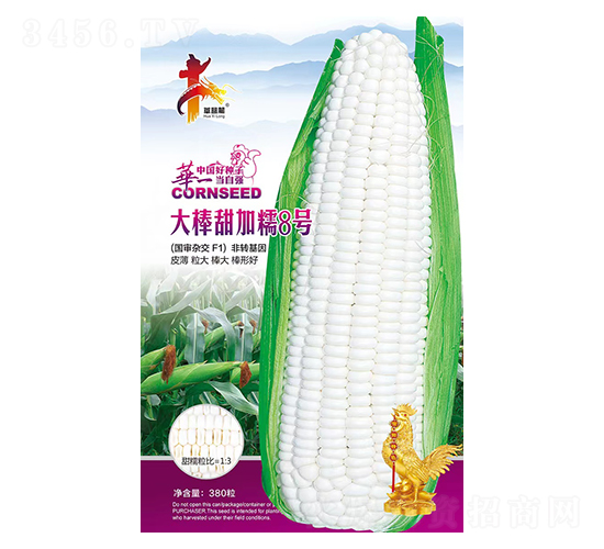 ������Ŵ8��-��������-��һ��ҵ