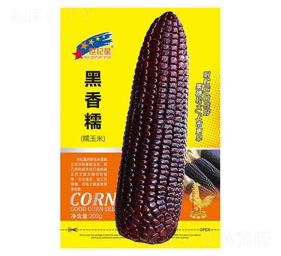 ����Ŵ��Ŵ���ף�-��������-��һ��ҵ