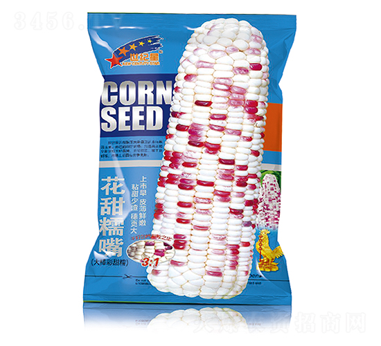 ����Ŵ��-��������-��һ��ҵ