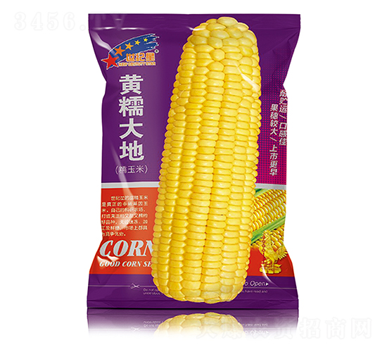 ��Ŵ���-��������-��һ��ҵ