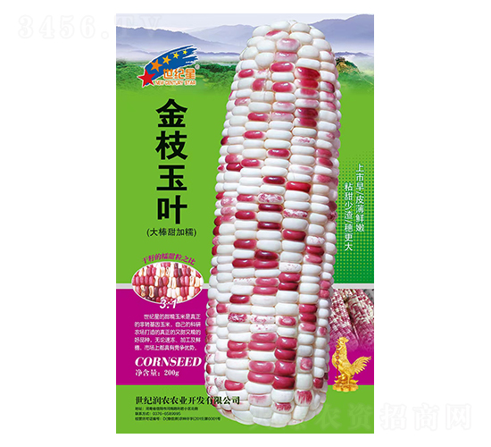 ��֦��Ҷ��������Ŵ��-��������-��һ��ҵ