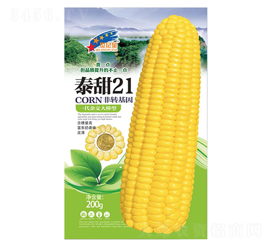 ̩��21-��������-��һ��ҵ