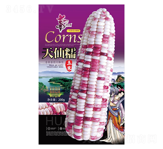 ����Ŵ-��������-��һ��ҵ