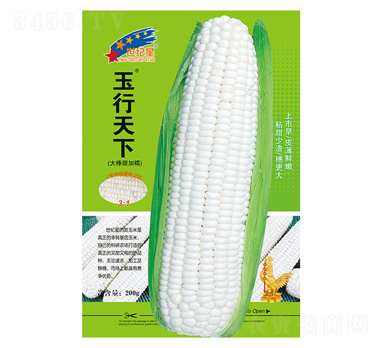 �������£�������Ŵ��-��������-��һ��ҵ
