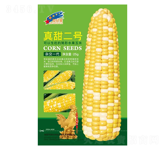 �������-��������-��һ��ҵ