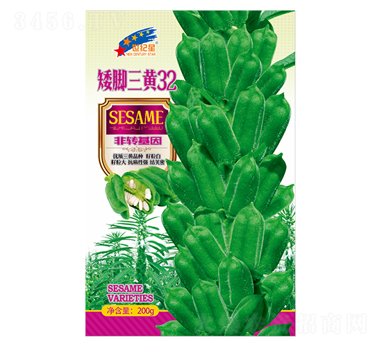 ��������32-֥������-��һ��ҵ