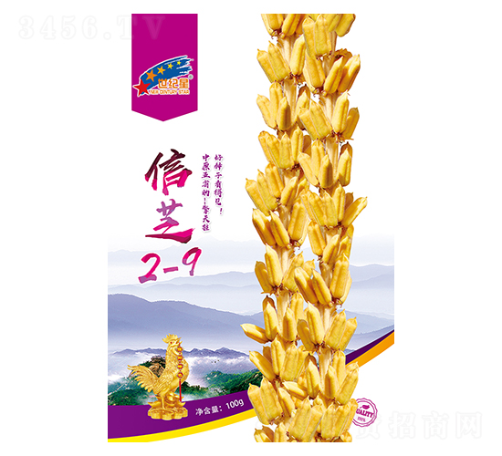 ��֥2-9-֥������-��һ��ҵ