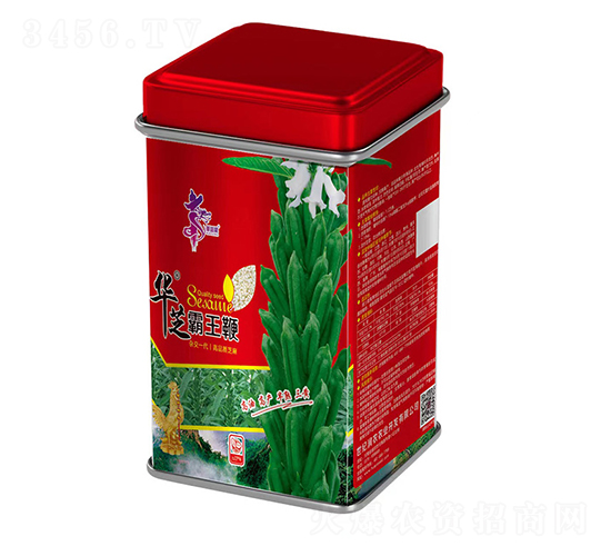 ��֥������-֥������-��һ��ҵ
