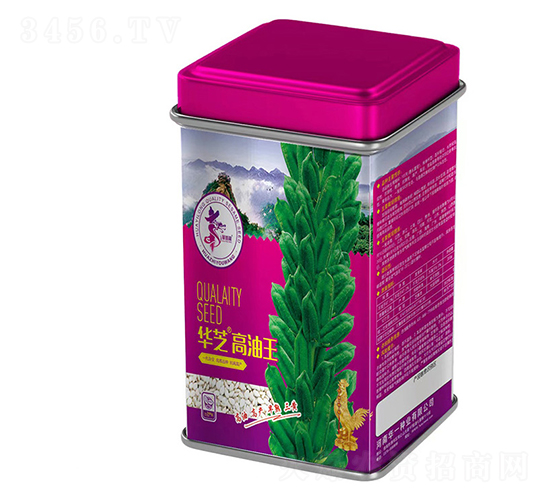 ��֥������-֥������-��һ��ҵ