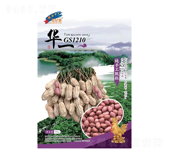GS1210-��������-��һ��ҵ