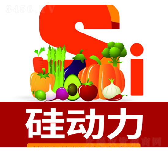 �趯��-���´�