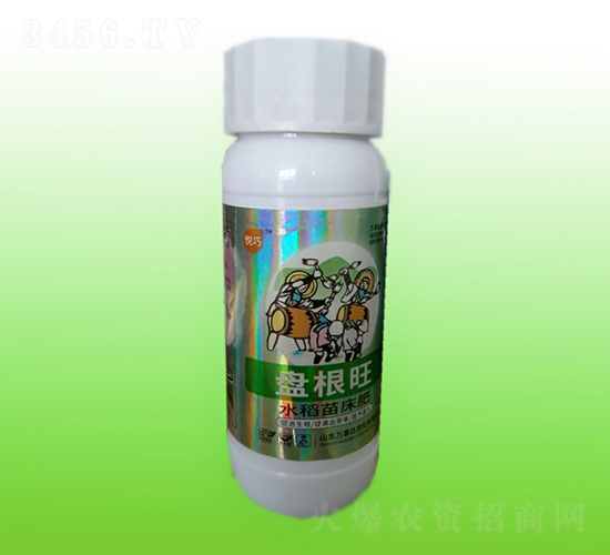 ˮ���紲��-�̸���-����-���´�