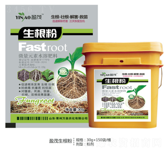 ӯï������-��Ȫũ��