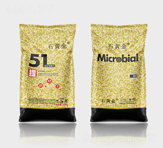 ΢�������51��-ʯ�ƽ�