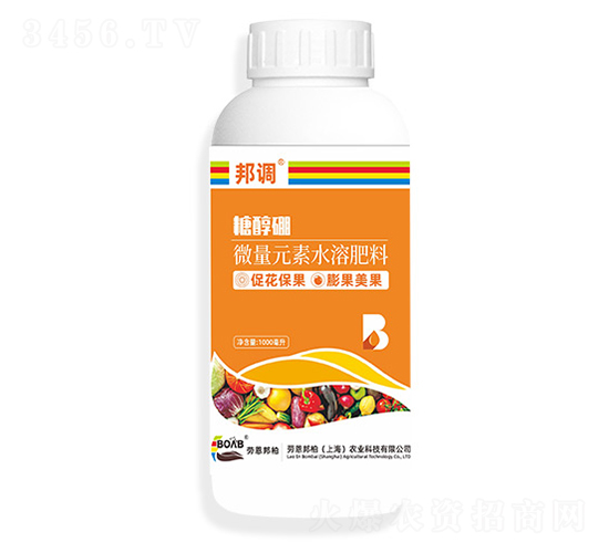 1000ml�Ǵ���-���-�Ͷ����
