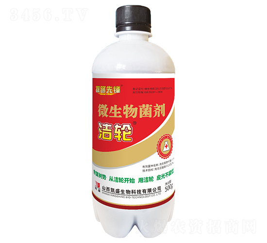 500g����΢�������-̽·�ȷ�-��ʢ
