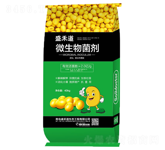 2�ڻ��΢�������-ʢ�̵�